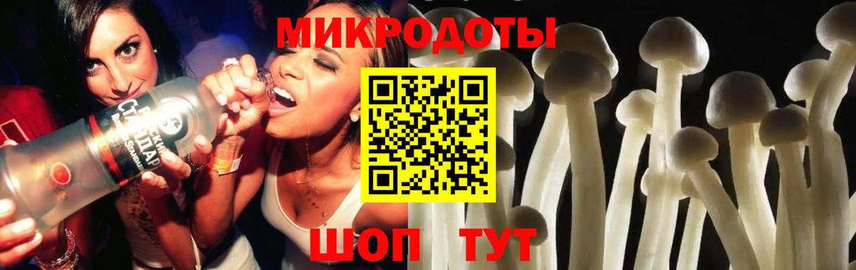 Галлюциногенные грибы Psilocybine cubensis  Вход с VPN  Благодарный  Псилоцибиновые грибы Psilocybine cubensis 